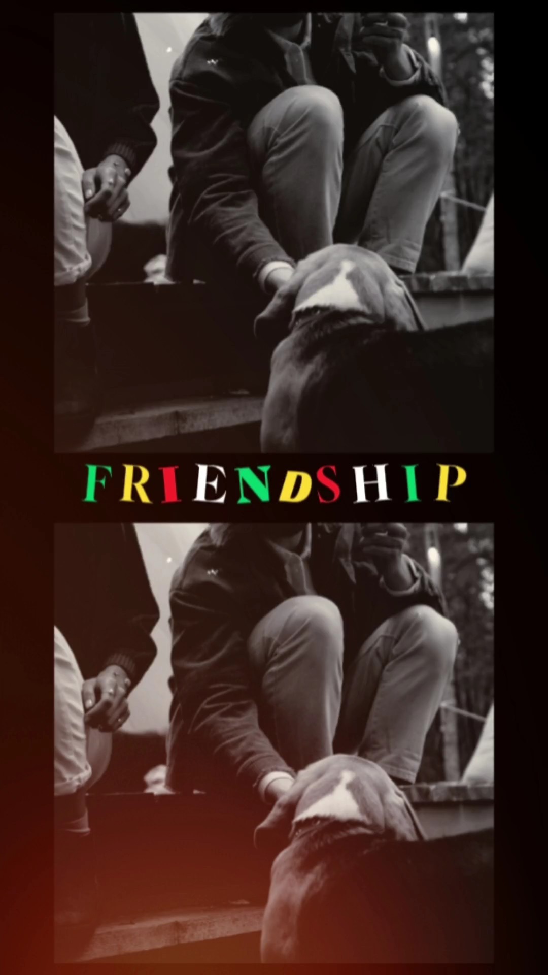 Friendship