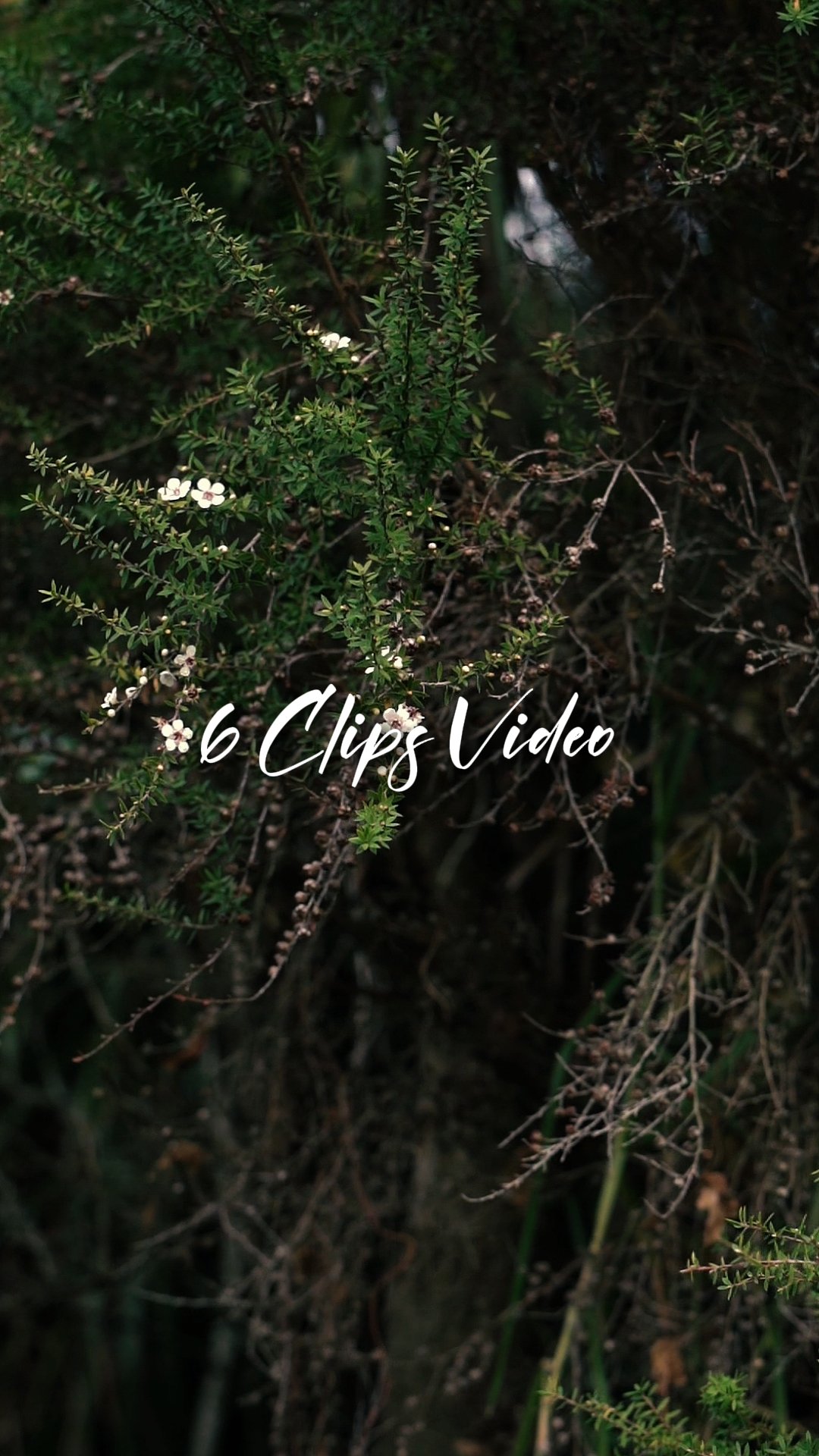 6 Video Cinemático