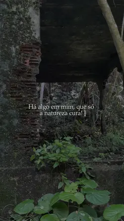 A natureza me cura!