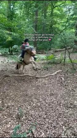 Horse of the year 💗