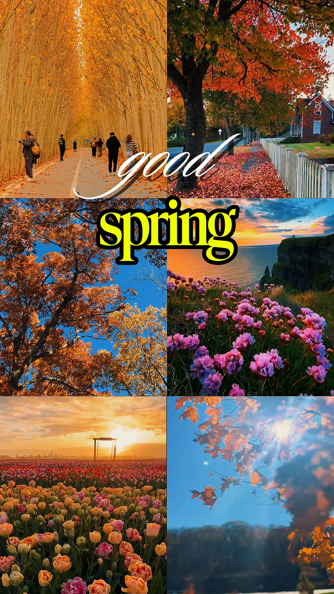 Bon printemps