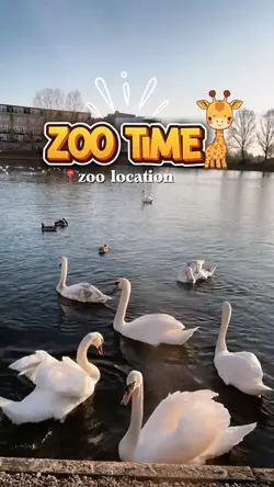 Zoo time