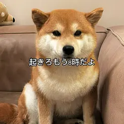 寝てる人に送ってあげましょう。