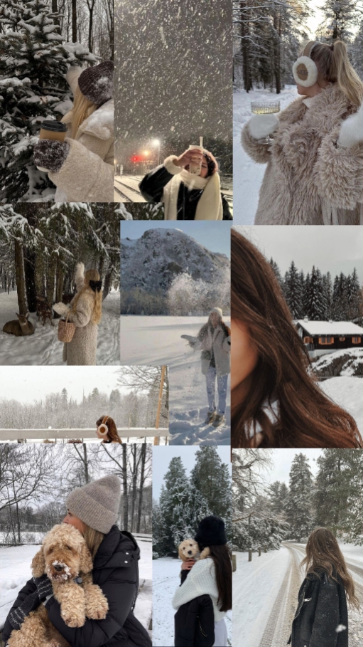 Winter-Dumps