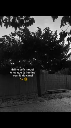brilhe sem medo