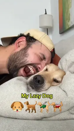 My Lazy Dog