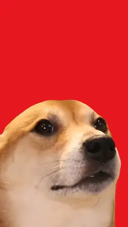 dancing dog epic sax