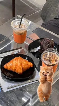 Aishiteru cat dance