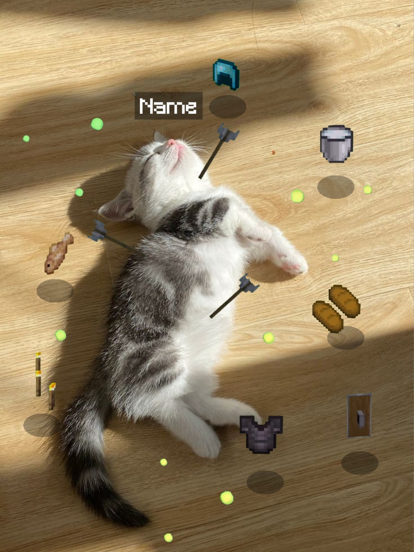Cover Picture