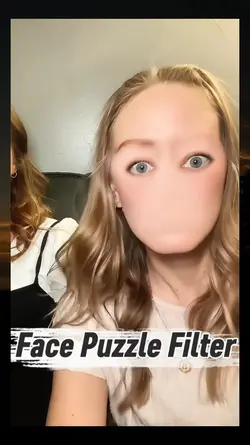 face puzzle filter 