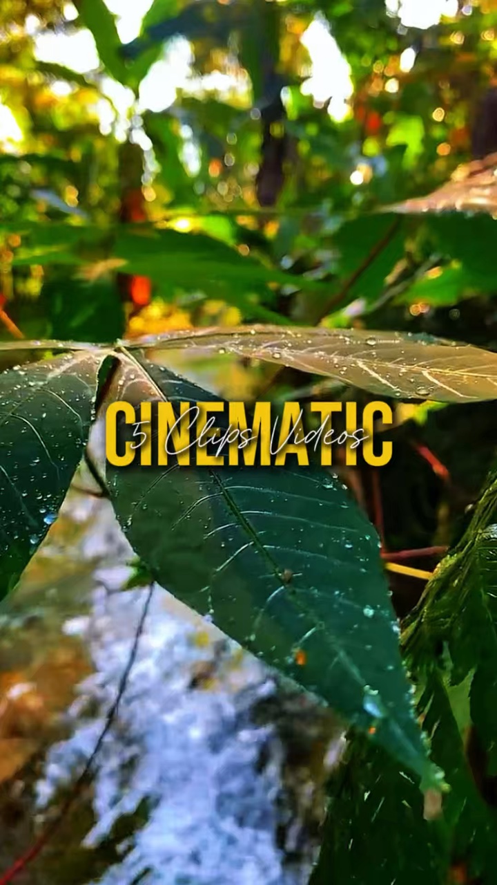 5 VIDEOS CINEMATIC 
