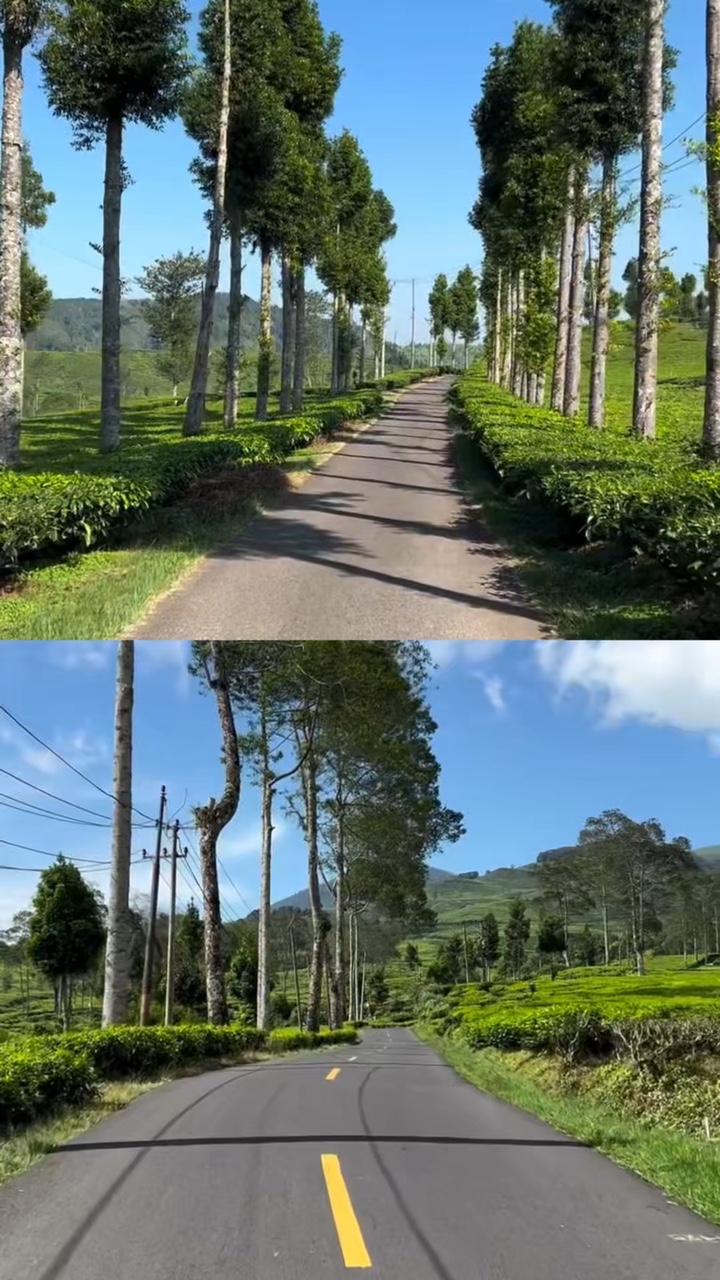 2 video satu marco