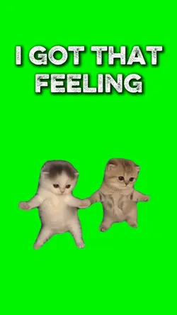 GOT THAT FEELING