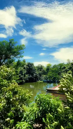 New Template 🖤🫠