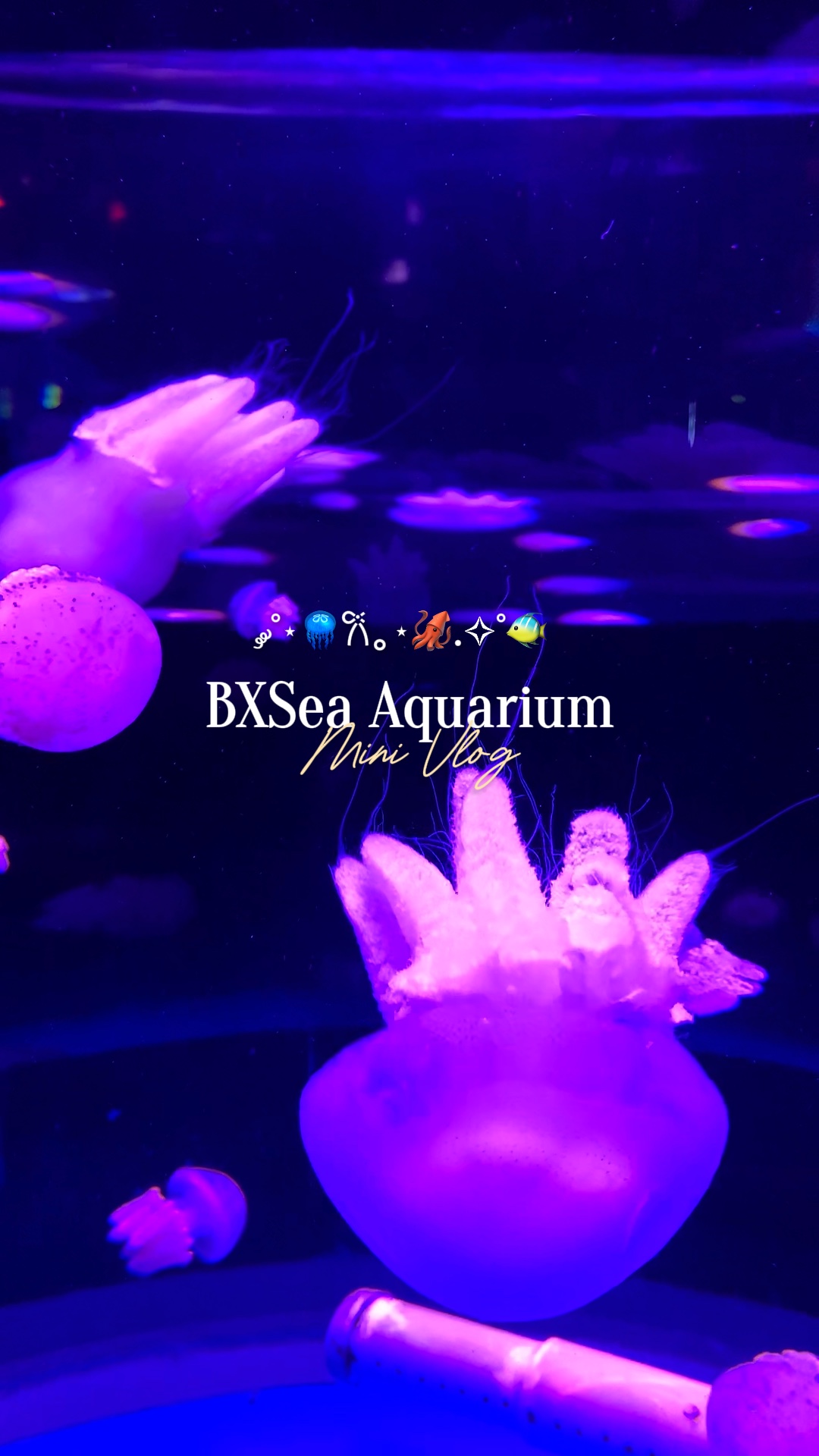 Aquarium Vlog