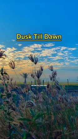 DUSK TILL DAWN