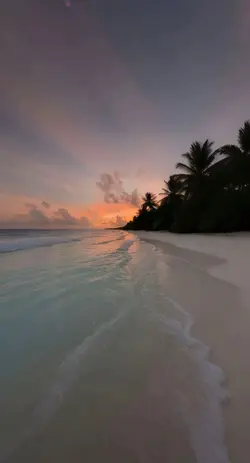 -*𝐭𝐨𝐧 𝐭𝐞𝐱𝐭𝐞*