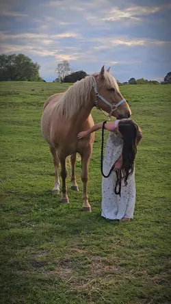 sweet pony