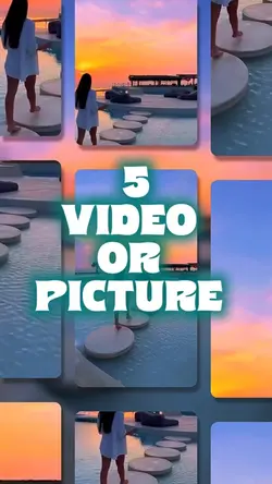 5 video or picture 