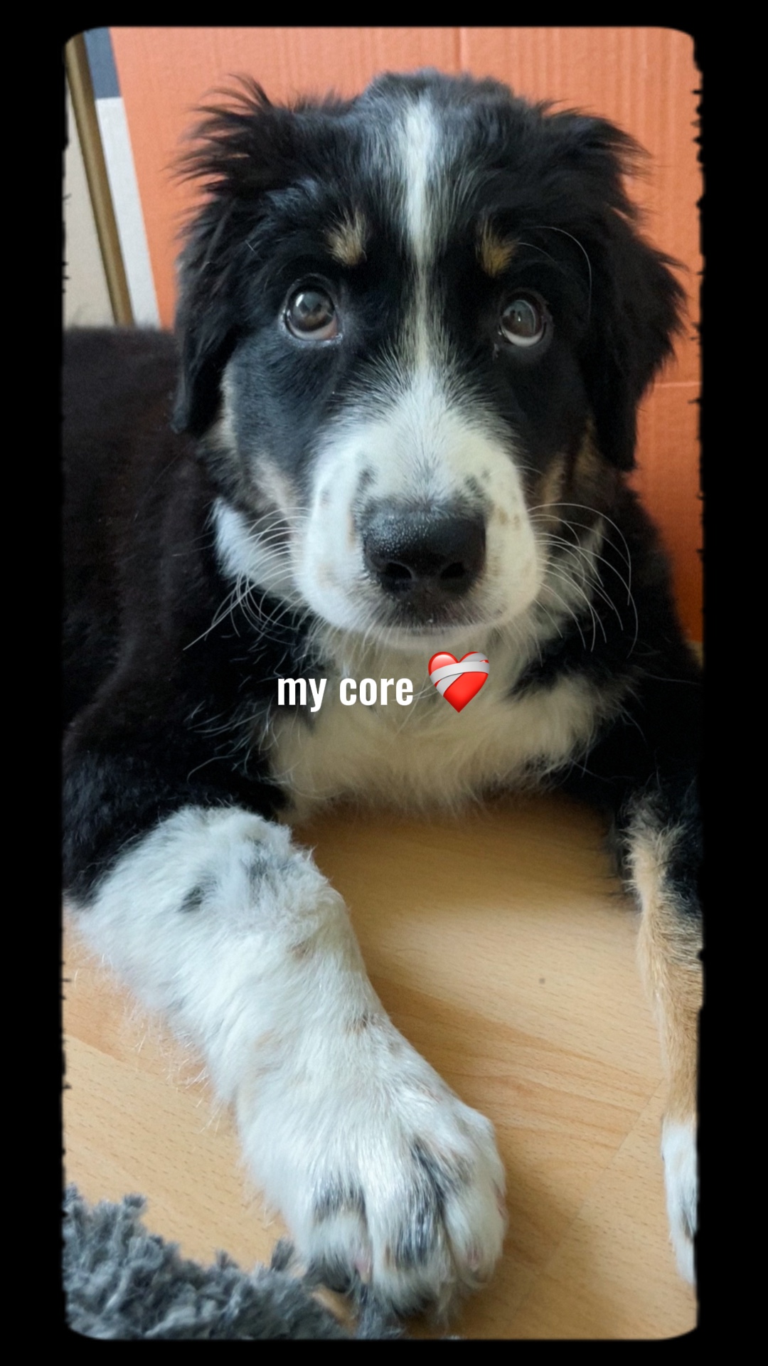my core ❤️‍🩹