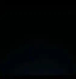 苦茶子