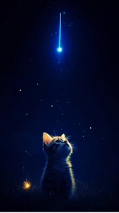 Efeito gatinho
