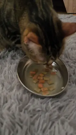 Fishing treat