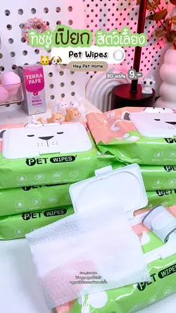 ทิชชู่เปียกสัตว์เลี้ยง 🐶🐱✨