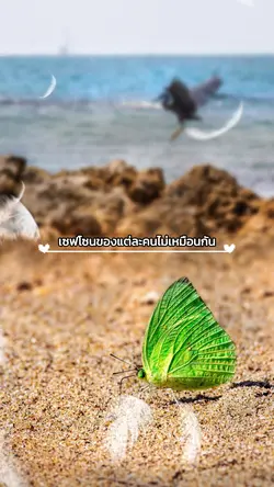 เซฟโซนที่ดีที่สุด