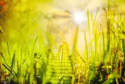 Alah Alah Koq Bisa Y