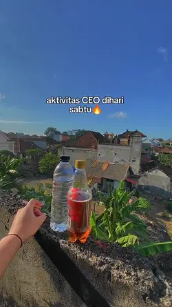 Aktivitas CEO dihari