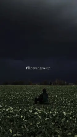 Never give up.