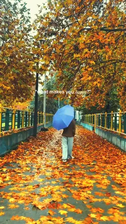 wahat make you happy