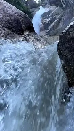 Mentahan Video