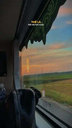 Thế là hết tết hết 