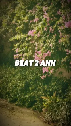 Beat 2 ảnh 
