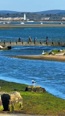 South coast
