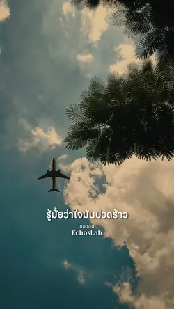 ขอวอน
EchosLab