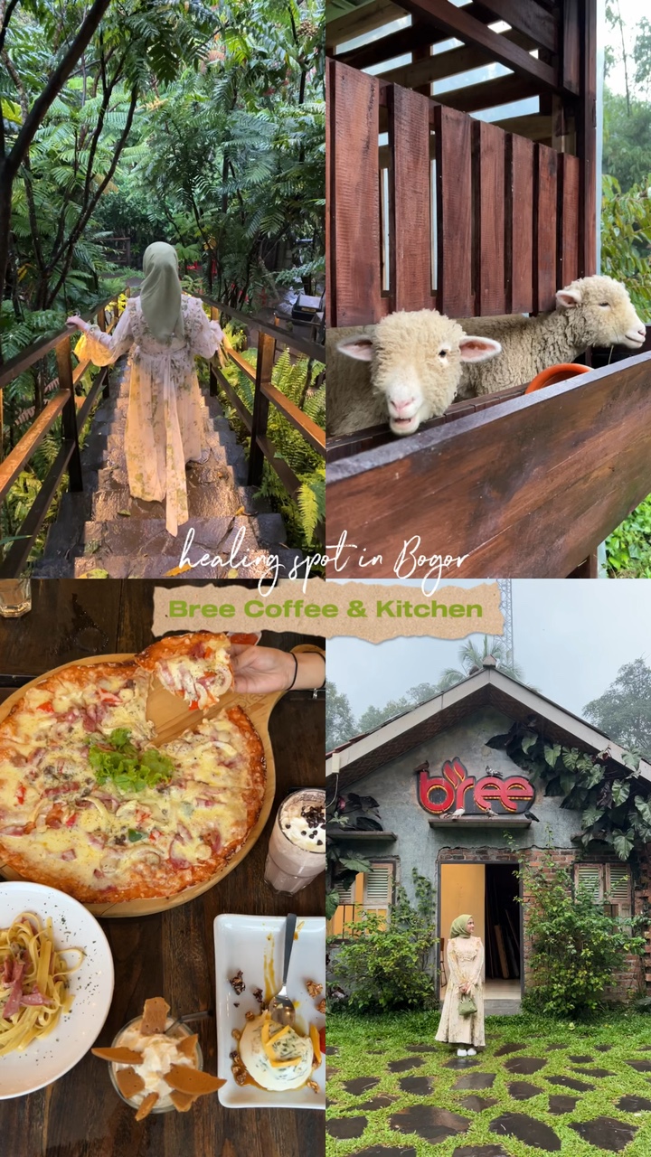 Ghibli vibes cafe