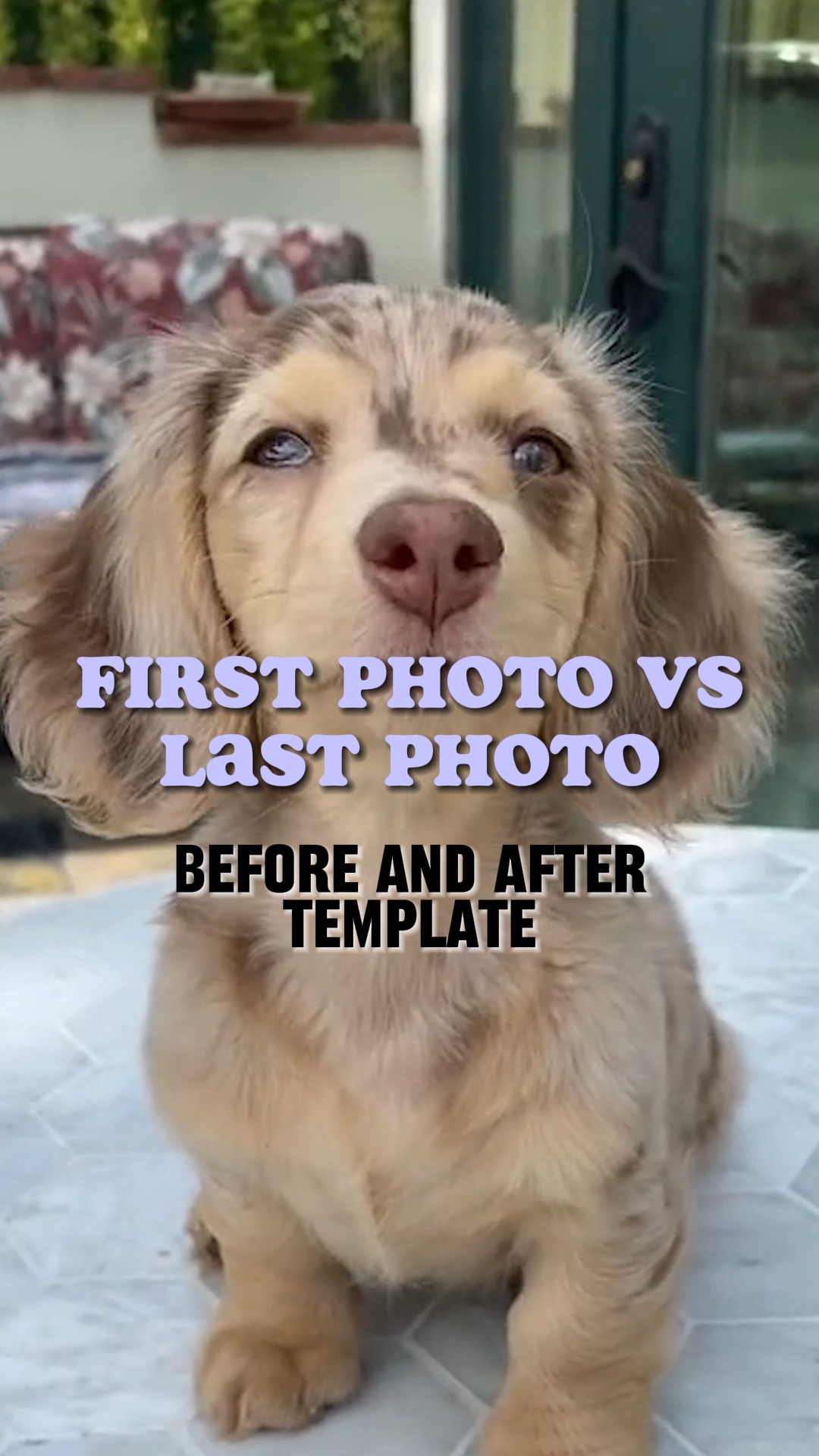 Erstes Foto vs. letztes