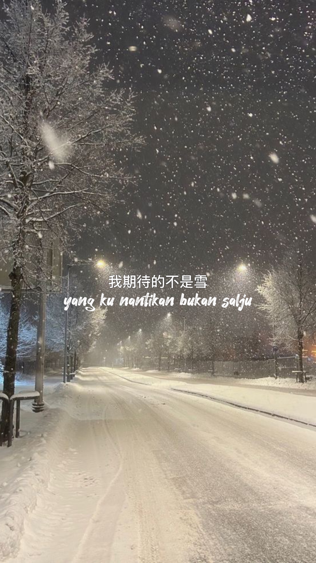 我⛑ Ἰ的不是雪