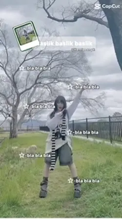 İlk iki fancam aynı
