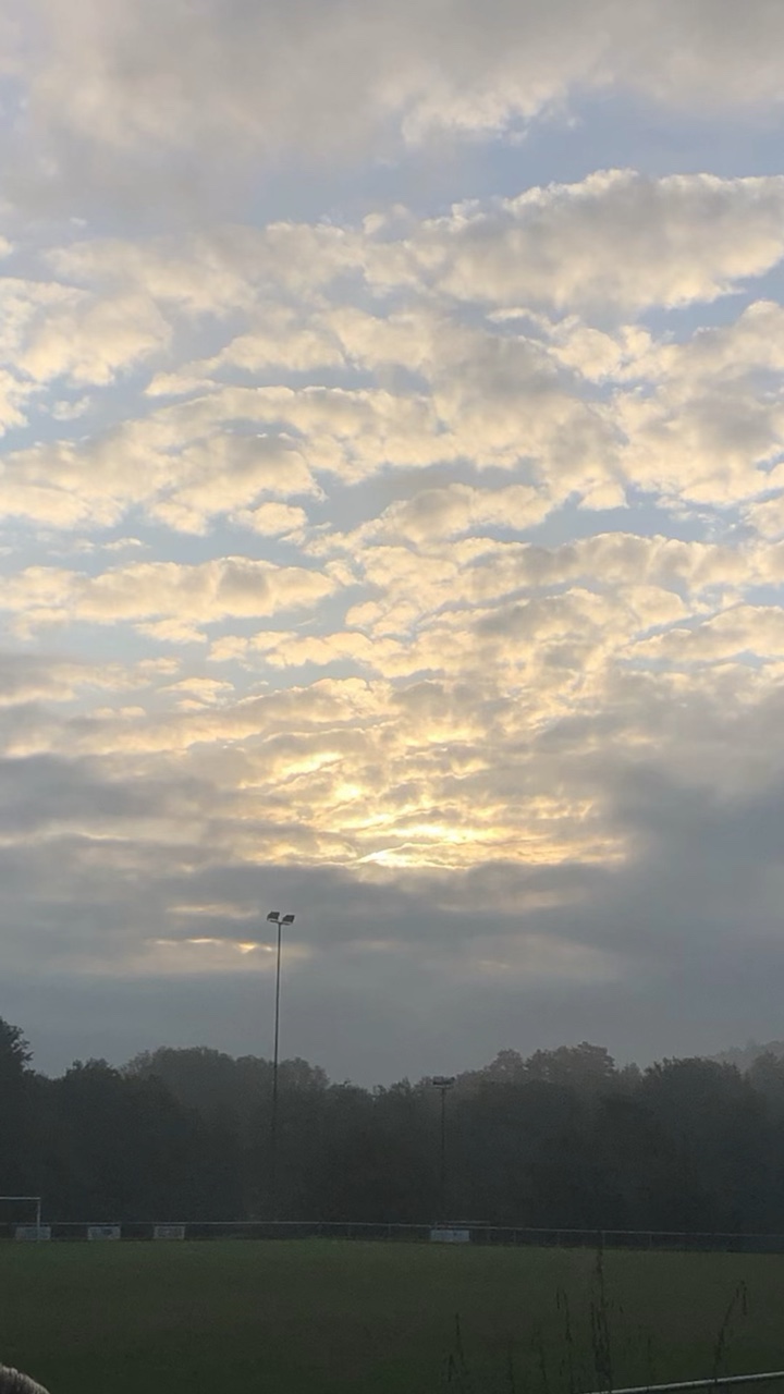 Enregistré pour le 🎼