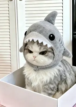 Wait For The Ending