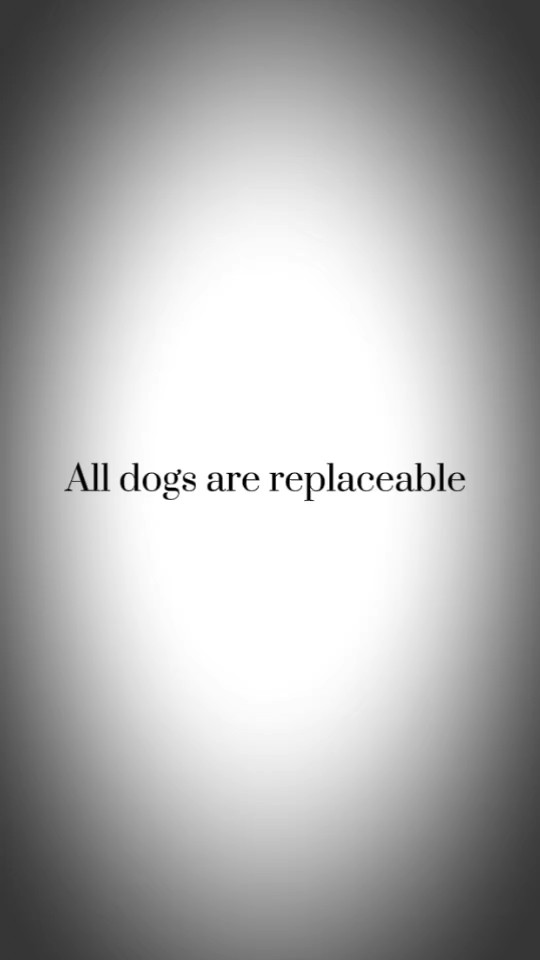 Plantilla de perro
