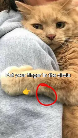 uuuh