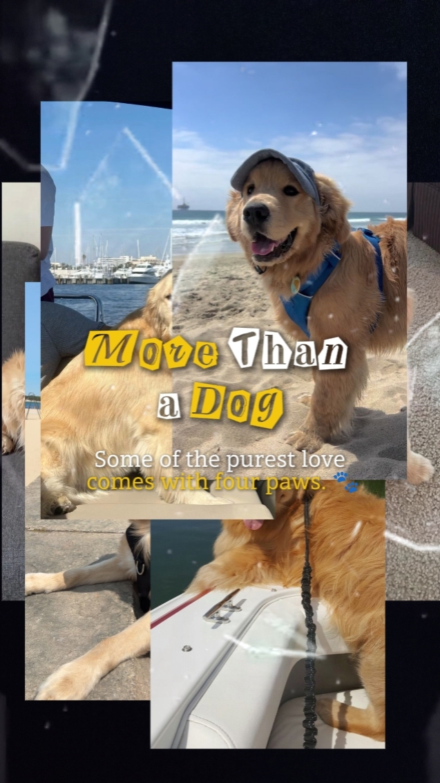 happydogday