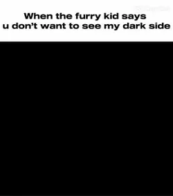 Donkey 