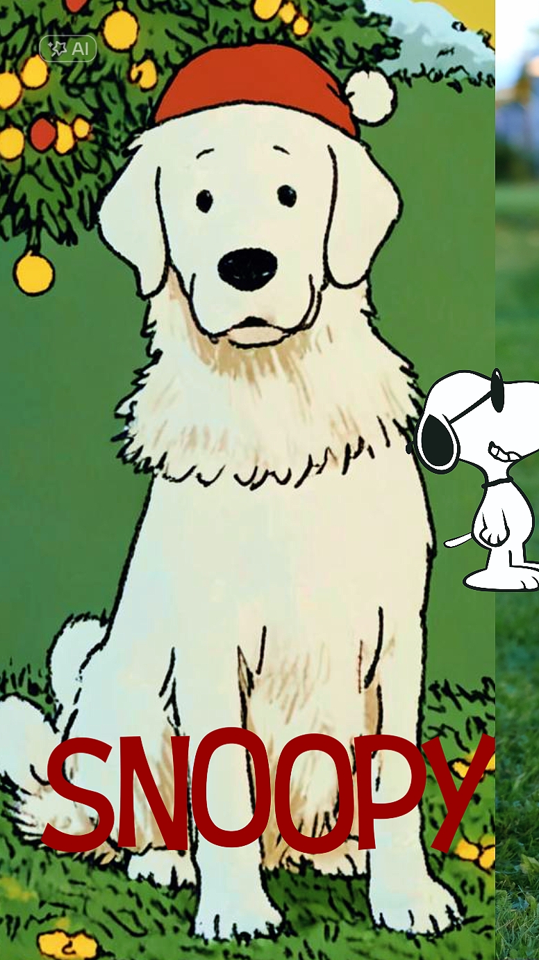filter my pet