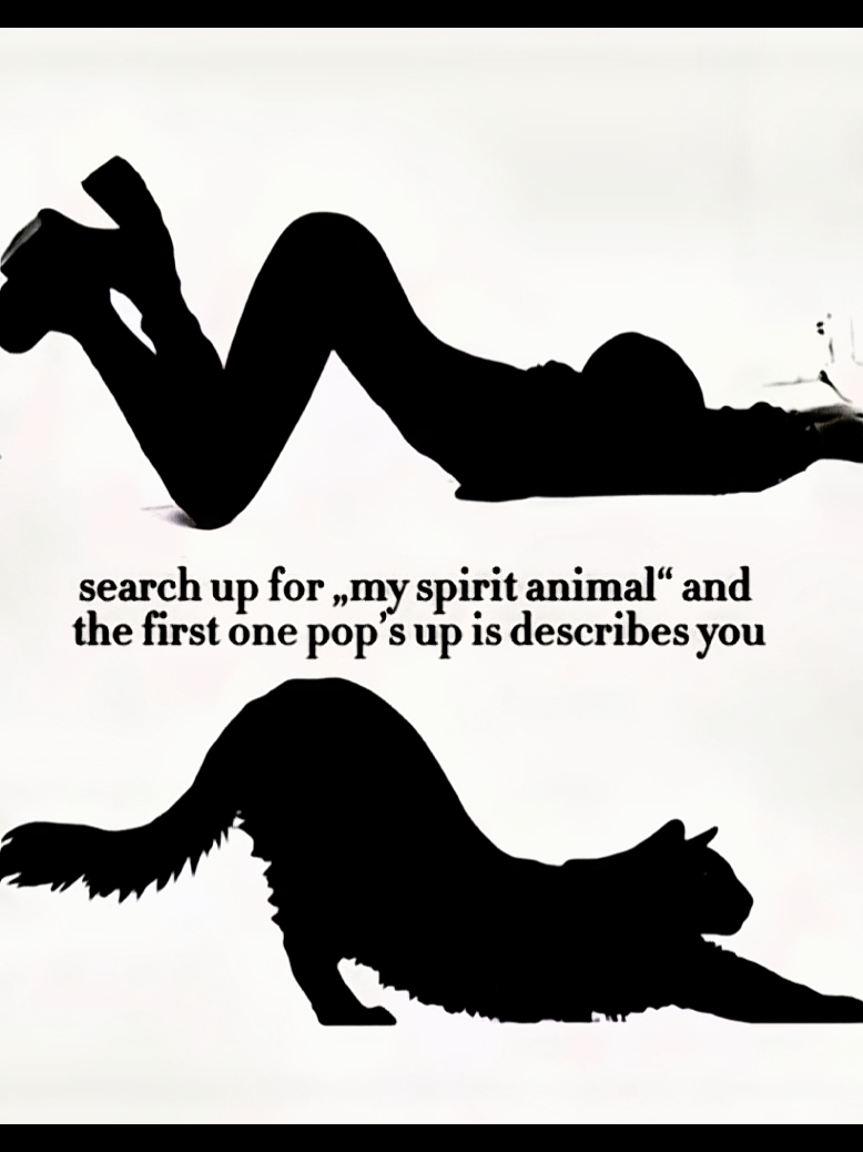 Mi animal espiritual 